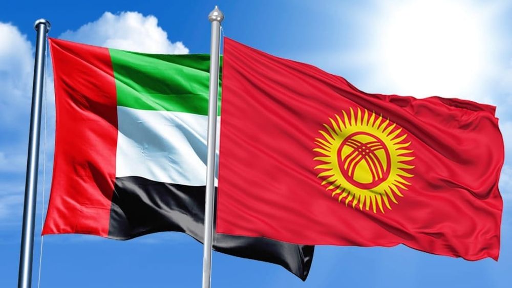 Кыргызстан и ОАЭ — сравнение экономик изображение публикации