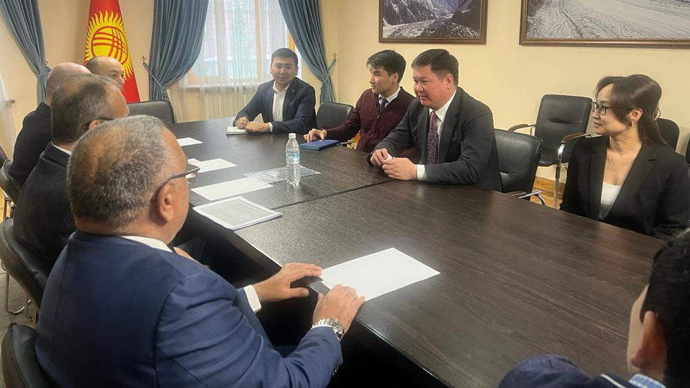 Турецкие компании заинтересовались фармацевтикой, энергетикой и пищевой отраслью Кыргызстана изображение публикации