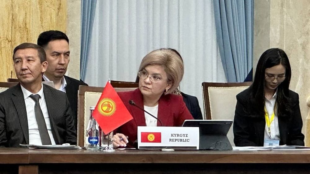 Кыргызстан поделился опытом цифровой трансформации с коллегами из стран ОТГ изображение публикации