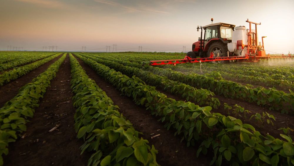 ЖК во втором чтении принял закон об обращении сельскохозяйственных свидетельств в рамках ЕАЭС изображение публикации