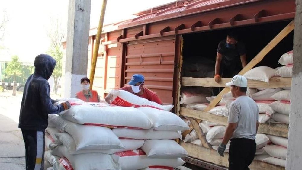 В 2024 году малообеспеченным кыргызстанцам раздадут более 1.2 тысячи тонн муки изображение публикации