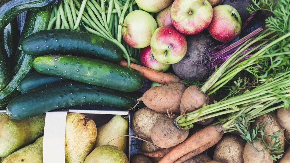 В ЖК обсудили проект закона о биологической безопасности изображение публикации