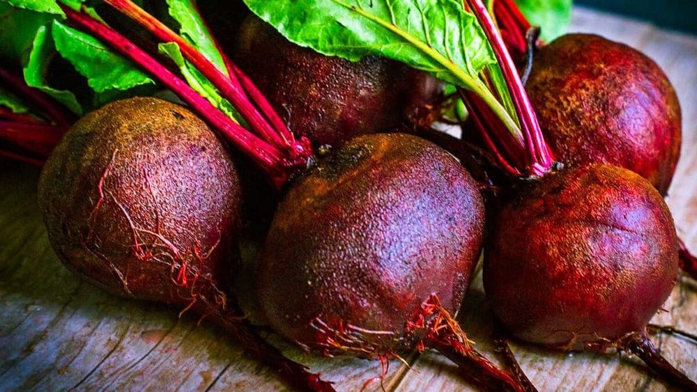 В текущем году свеклой засеяли на 45.3% больше, чем в 2022-м изображение публикации