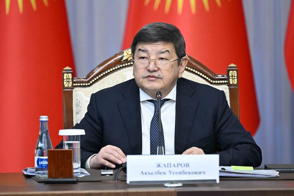 Глава кабмина КР раскритиковал Фонд развития Иссык-Кульской области изображение публикации