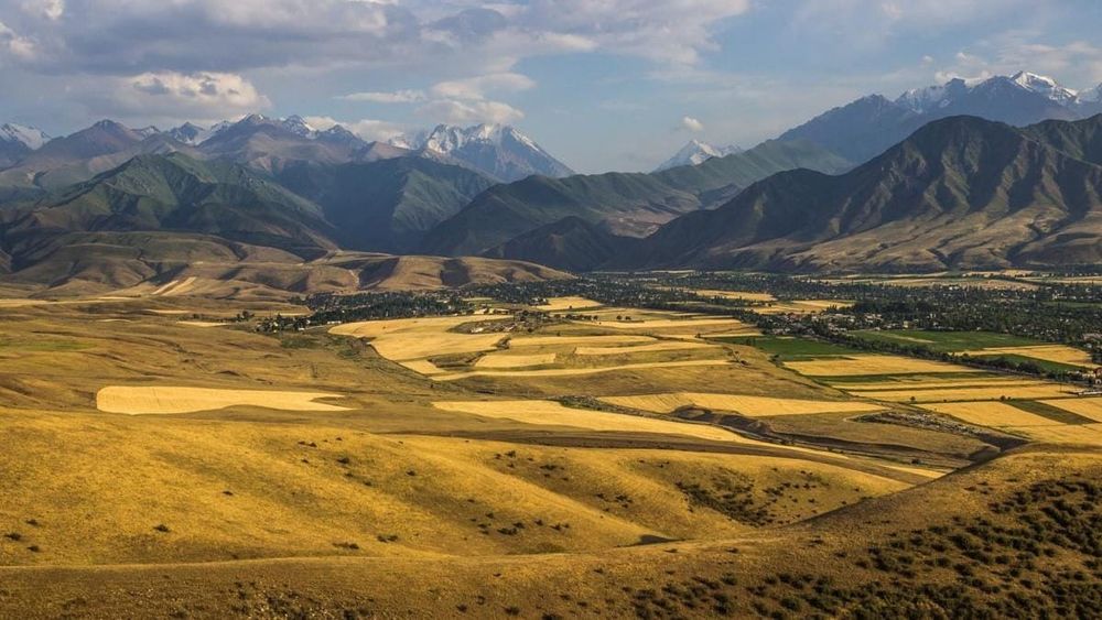 Кабмин выделил землю под строительство швейной фабрики изображение публикации