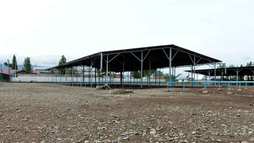 В Кара-Балте закрыли скотный рынок "Эркин" изображение публикации