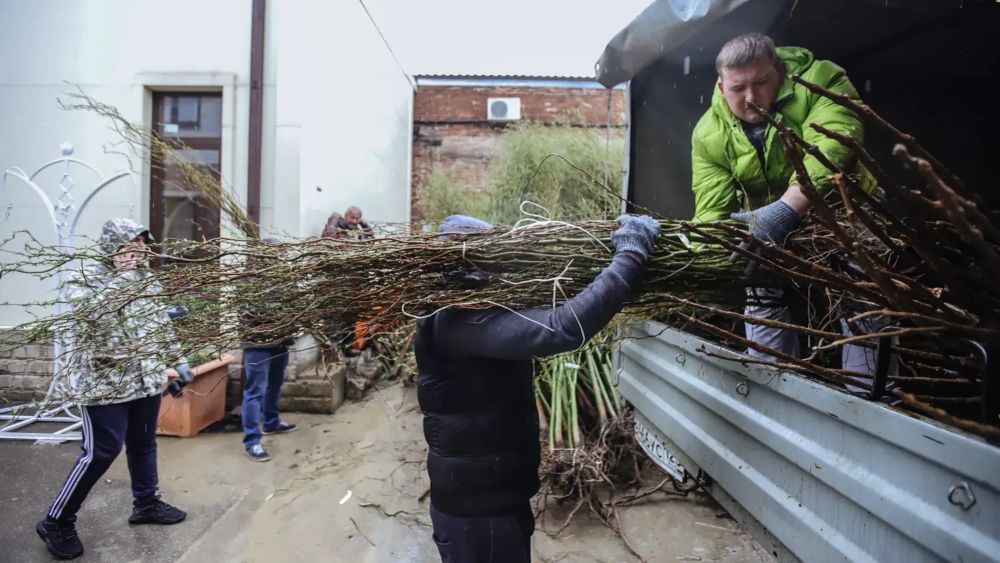 Минсельхоз ужесточает ввоз саженцев и семян в Кыргызстан изображение публикации
