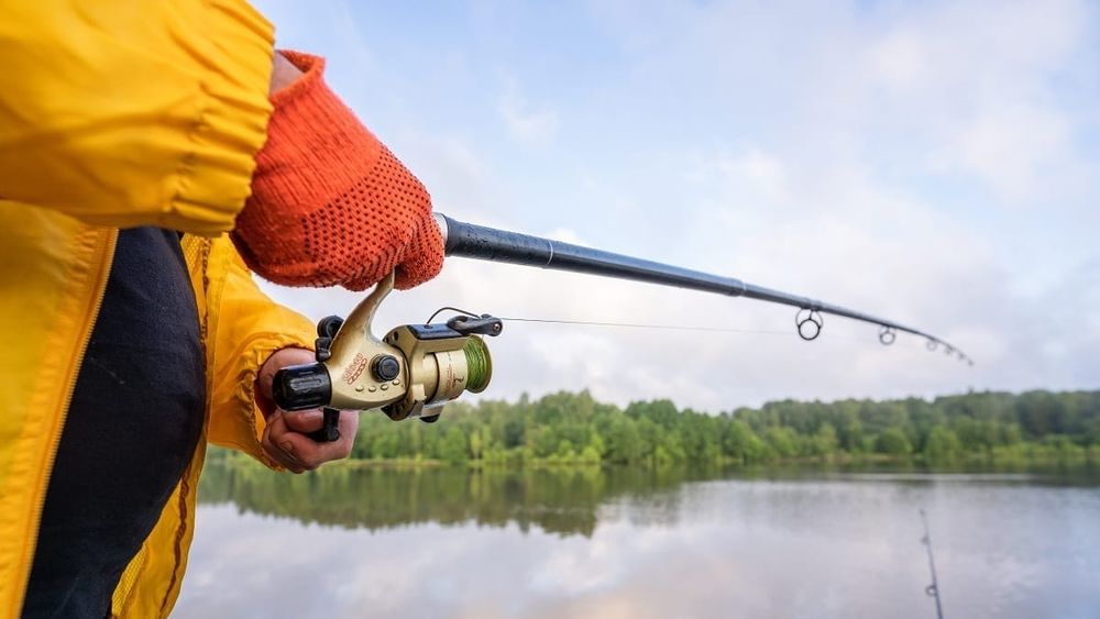 Продажа рыболовных билетов пополнила бюджет КР на 2 млн сомов изображение публикации