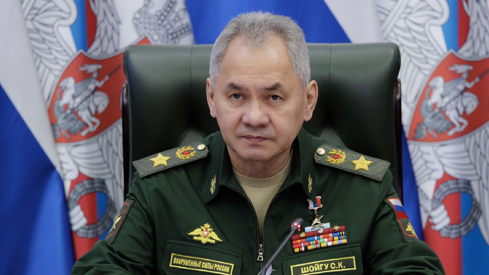 Шойгу раскритиковал НПО в Центральной Азии за «антироссийскую» деятельность изображение публикации