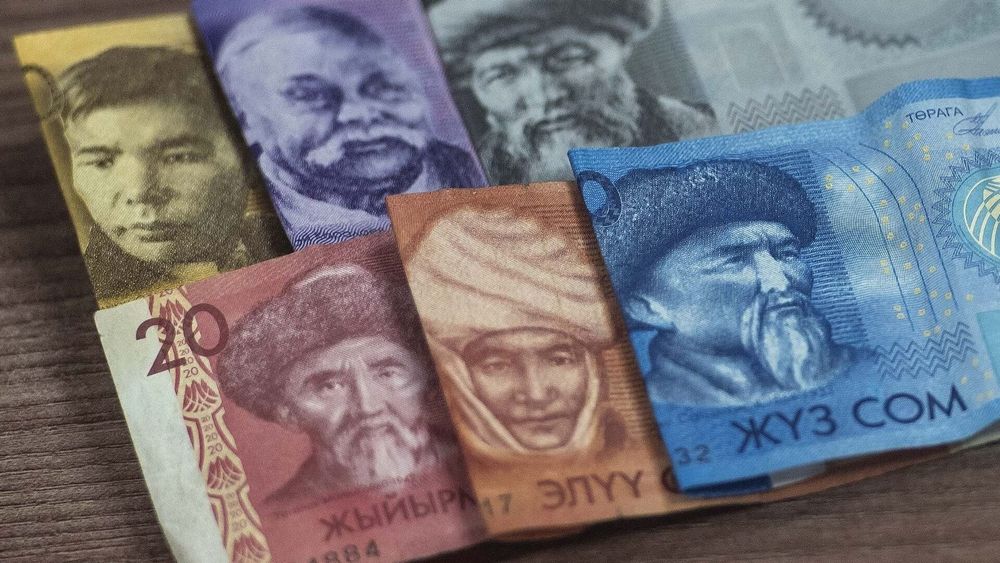 Сом подорожал ко всем основным валютам, кроме доллара – официальный курс изображение публикации