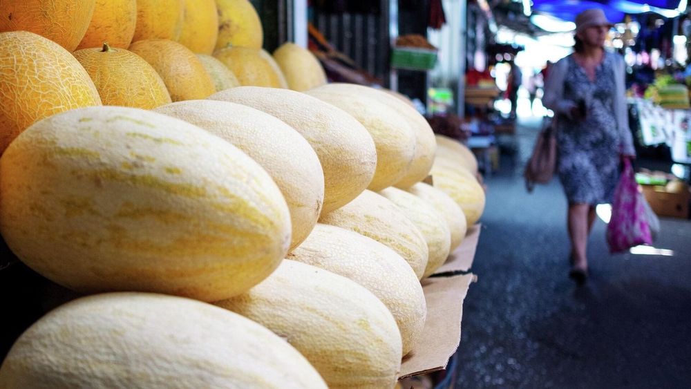 Кыргызстан экспортировал дыни в Китай на 1.2 млн сомов изображение публикации