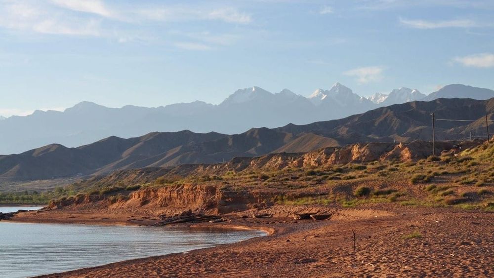 Экологический беспредел на Иссык-Куле: мужчина без разрешения вырубил деревья и засыпал песком пляж изображение публикации