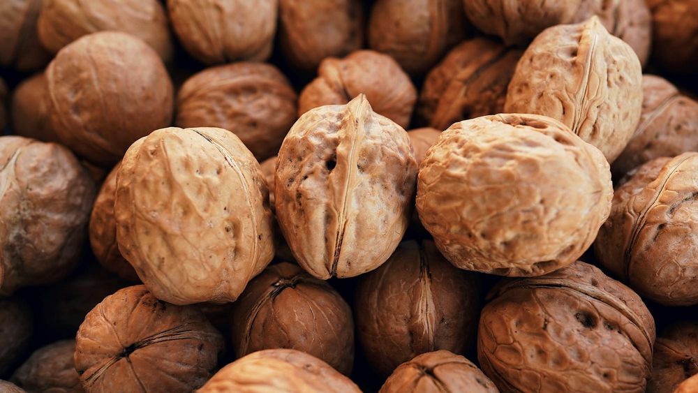 В Турции заинтересованы поставками грецких орехов из Кыргызстана изображение публикации