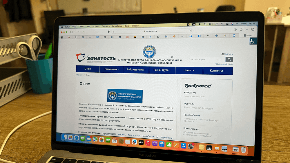 Минсоцтруда запускает новые онлайн-сервисы для поиска работы изображение публикации