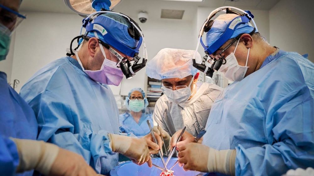 За счет бюджета нуждающимся пациентам будут пересаживать печень, сердце и костный мозг – Садыр Жапаров изображение публикации