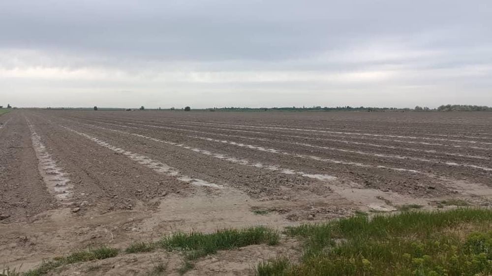 ГКНБ разоблачил земельную мафию в Московском районе изображение публикации