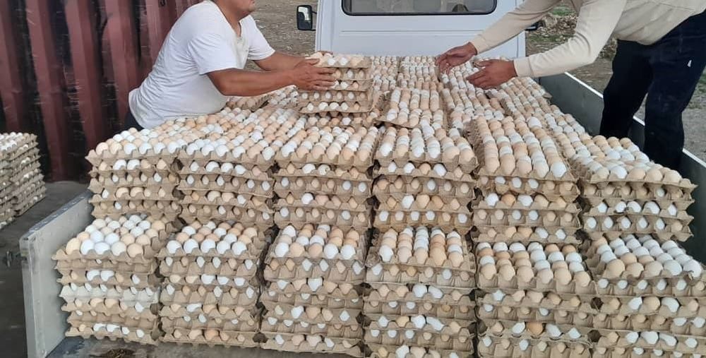 Таможенники в Баткене уничтожили 30 тысяч яиц изображение публикации