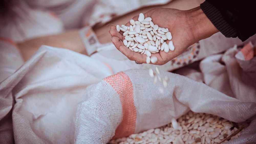 Кыргызстан готов поставлять в Азербайджан качественную сельхозпродукцию – Амангельдиев изображение публикации