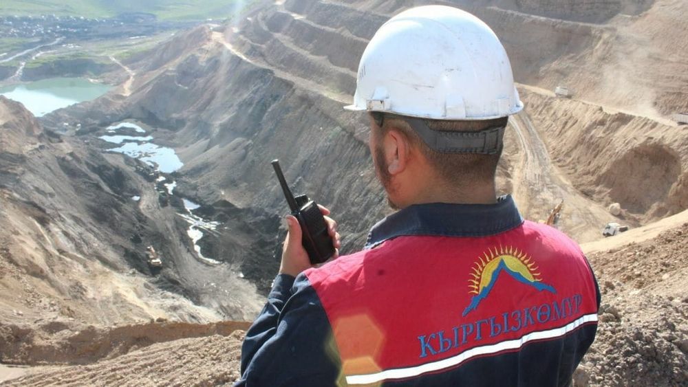 МВД выявило хищения в «Кыргызкомуре» – задержан бывший директор госпредприятия изображение публикации