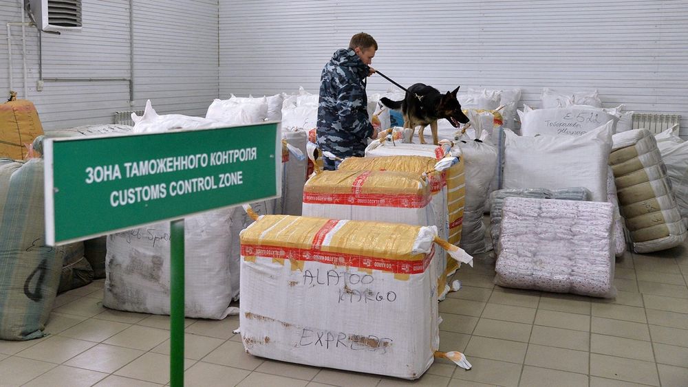 В Кыргызстане предлагают ужесточить наказание за контрабанду изображение публикации