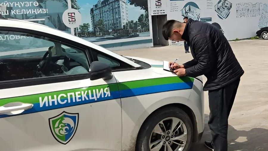 «Альфа Ойл», кафе «Бахчай» и другие получили штрафы за нарушение правил благоустройства изображение публикации