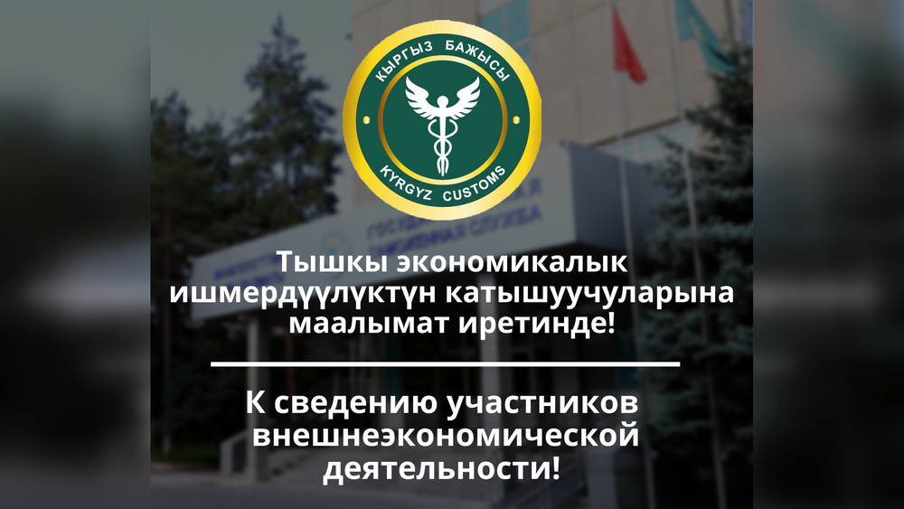 Инфосистемы Таможенной службы КР дали сбой — куда обращаться за помощью? изображение публикации