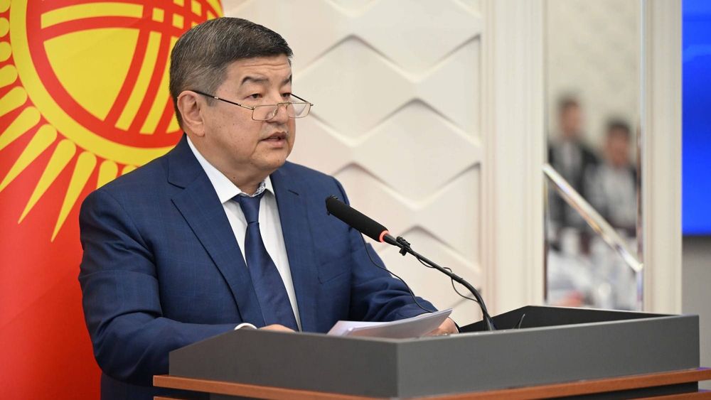 «Прыжок барса»: Кыргызстан стремится повторить успех азиатских тигров – Акылбек Жапаров изображение публикации