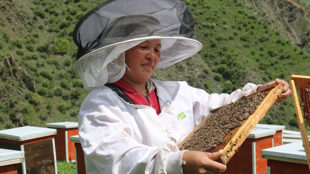 С начала года Гарантийный фонд выдал предпринимательницам гарантии на 400 млн сомов изображение публикации