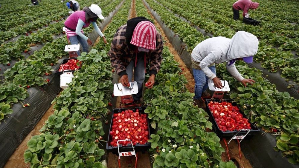 Кыргызстан усилит контроль за частными агентствами, трудоустраивающими граждан за рубежом изображение публикации