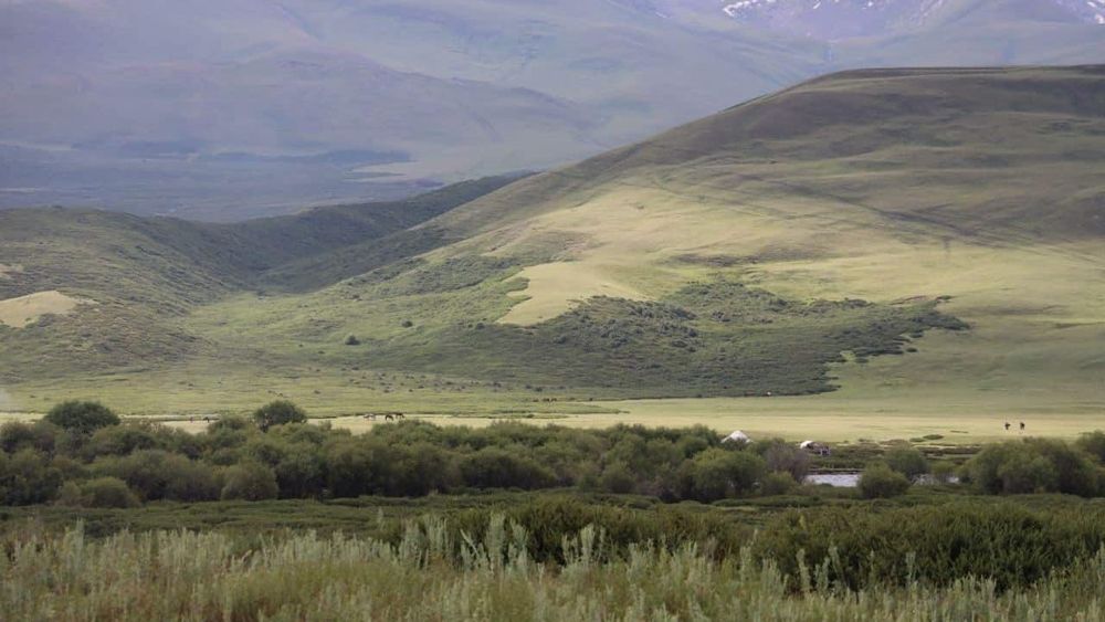 Кабмин утвердил программу развития пастбищ на 2024-2029 годы изображение публикации