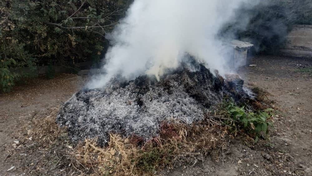 Мэрия Бишкека напоминает о штрафах за сжигание мусора и сухой листвы изображение публикации