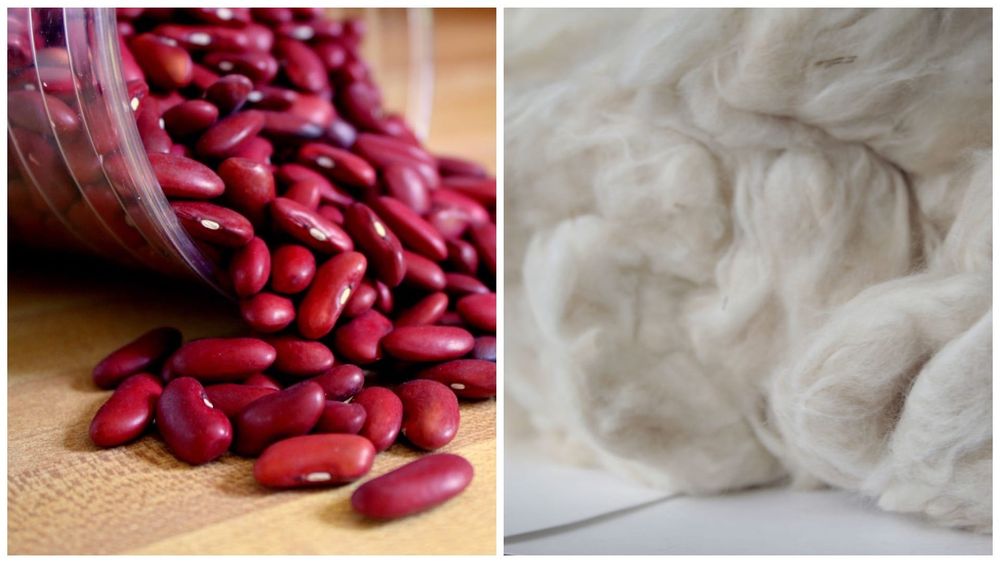 Кыргызстан будет экспортировать в Китай фасоль и козью шерсть изображение публикации