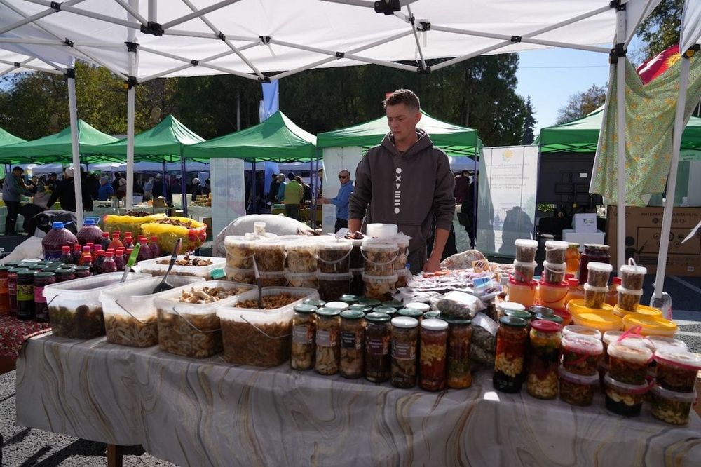 Государство направило 17.9 млрд сомов на поддержку агропромышленного комплекса КР изображение публикации