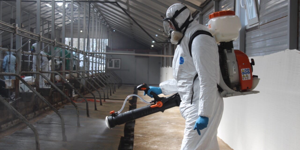 В 2024 году в Кыргызстане обеззаражено более 206 тысяч м³ сельхозпродукции изображение публикации