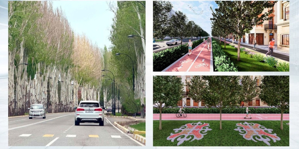 На проспекте Айтматова в Бишкеке вместо тополей высадят клены изображение публикации