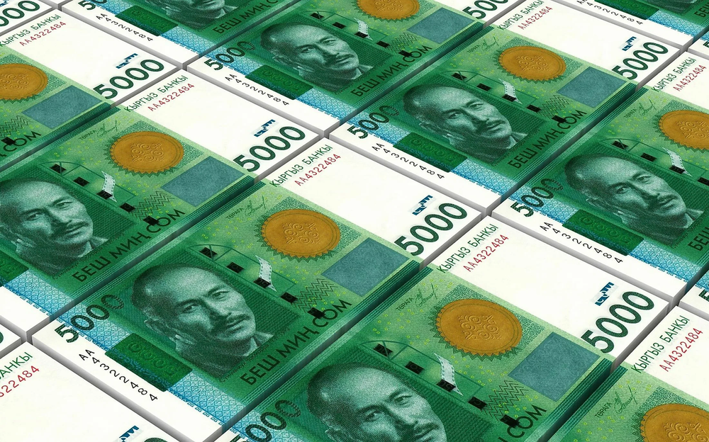 В республиканский бюджет поступило 31.8 млрд сомов от управления госимуществом изображение публикации