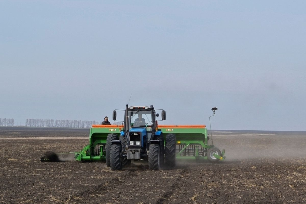 В текущем году в Баткене и Оше увеличили площади посева озимых зерновых изображение публикации