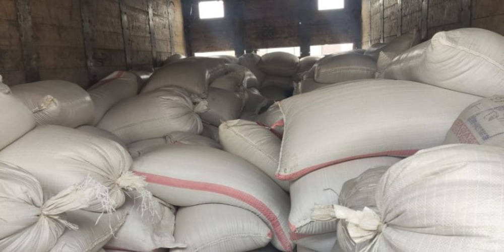 На КПП «Чалдовар» вернули в Казахстан 22 тонны семян люцерны из-за проблем с сертификатом изображение публикации