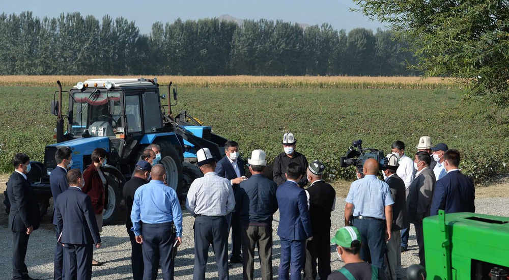 Минсельхоз подсчитал сколько сельхозкооперативов в КР и сколько земель в их распоряжении изображение публикации