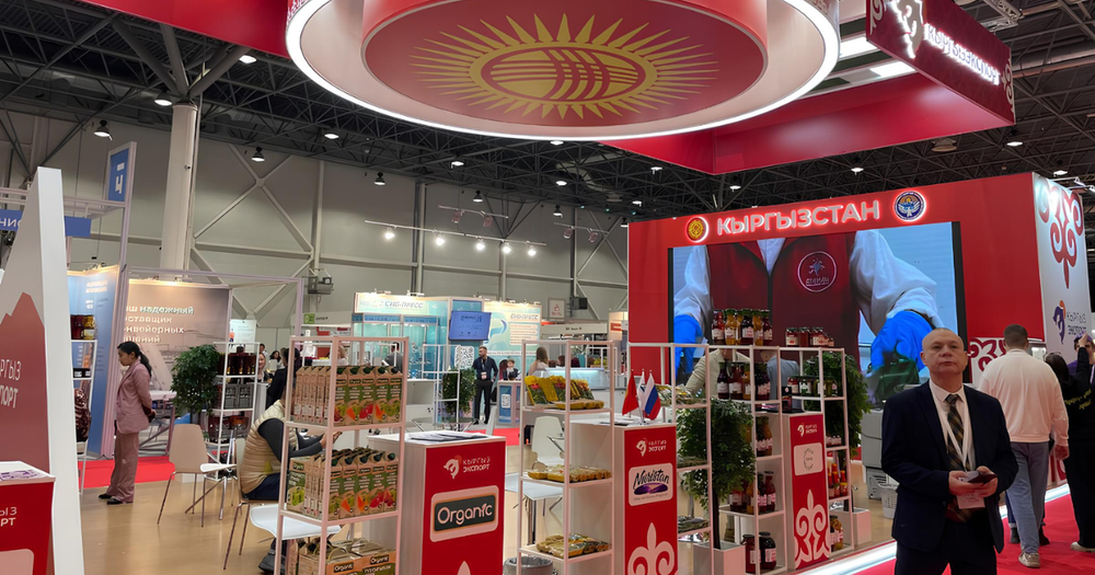 В Сибири планируют открыть склады для хранения продукции из Кыргызстана изображение публикации