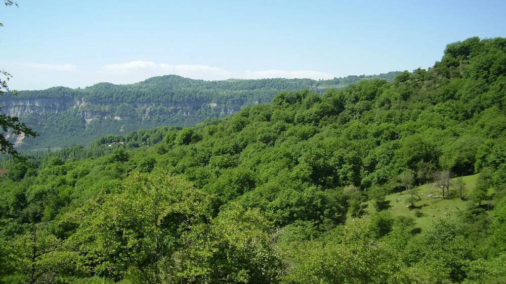 Минприроды объявило конкурс на охотничьи угодья в Джалал-Абаде изображение публикации