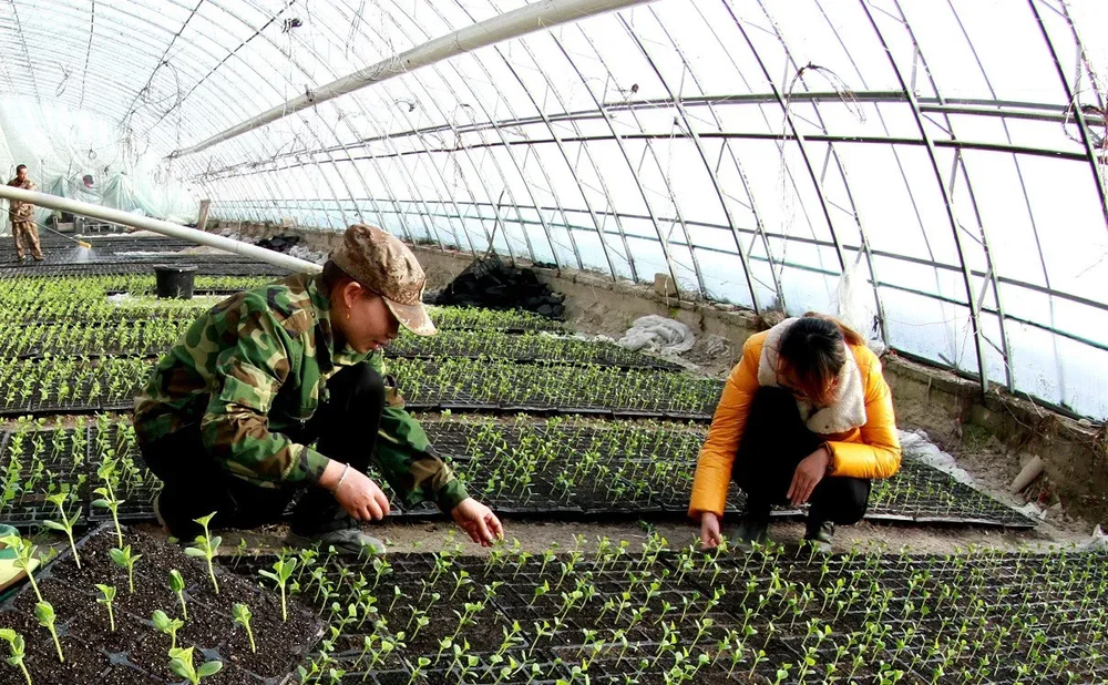 Фермеры КР получили кредиты на 4.4 млрд сомов в рамках проекта «ФСХ-12» изображение публикации