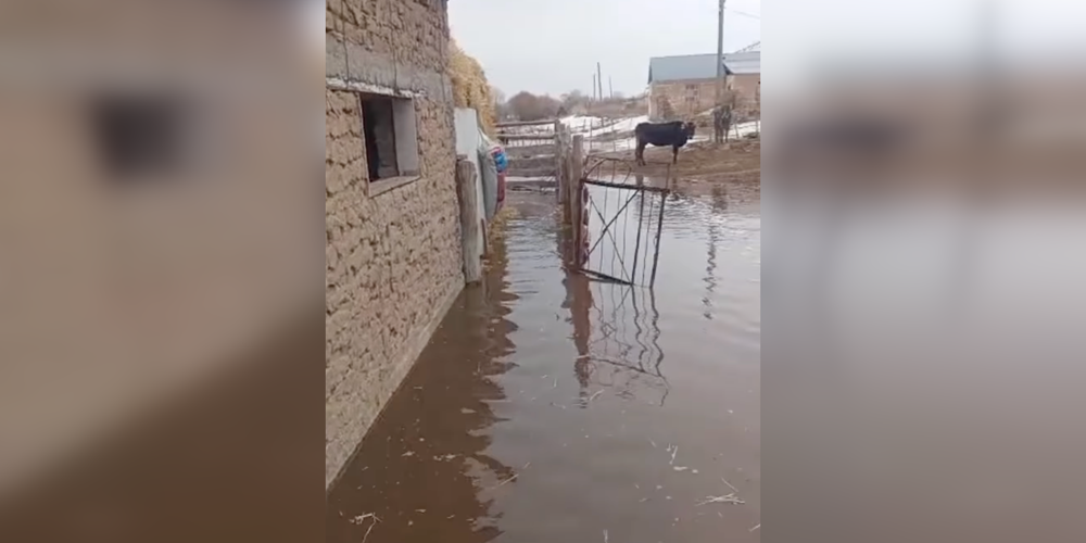 Таяние снега спровоцировало сель в Нарынской области – видео изображение публикации