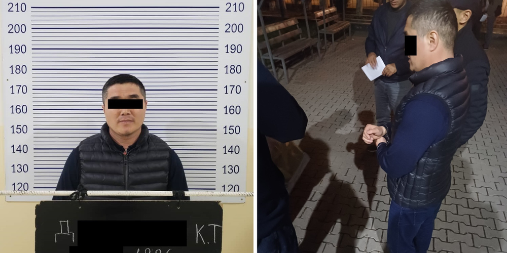 Экс-сотрудник МЧС обещал «решить вопрос» за $14 тысяч и квартиру — он задержан изображение публикации