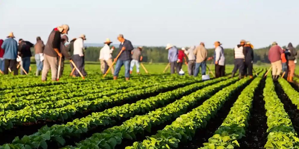 Великобритания выразила готовность защищать права трудовых мигрантов из Кыргызстана изображение публикации