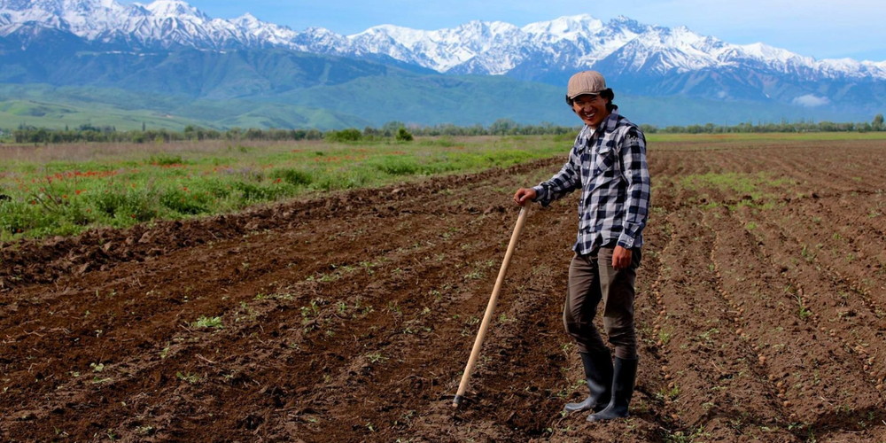 Фермеры в КР получили 4.7 млрд сомов льготных кредитов по программе «ФСХ-12» изображение публикации