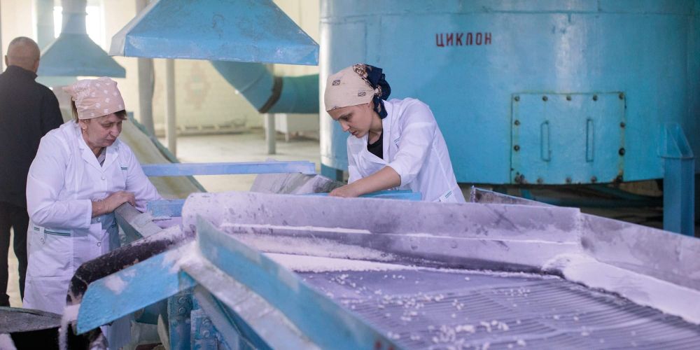 Белое «золото» Азии: как сахарники Кыргызстана и Казахстана справляются с новыми вызовами изображение публикации