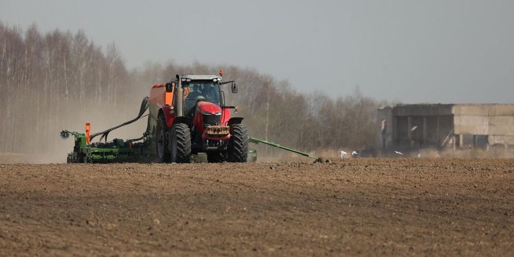 Весенняя посевная в разгаре – в КР засеяно более 64 тысяч гектаров зерновых изображение публикации