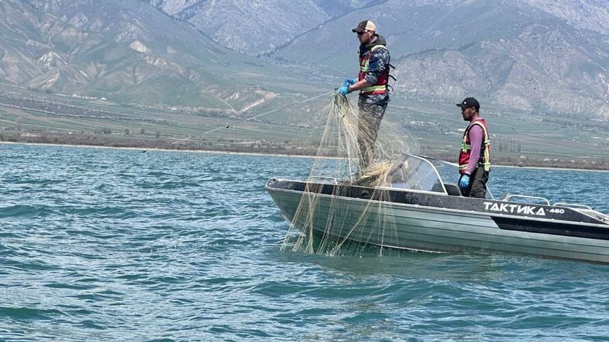 Браконьеры вынудили МЧС усилить патрули на Иссык-Куле изображение публикации