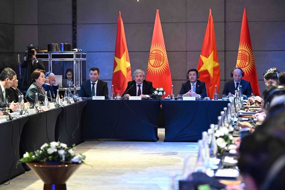 Вьетнамский бизнес выразил готовность к сотрудничеству с Кыргызстаном изображение публикации